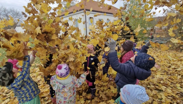 Motýlkové a měsíc říjen