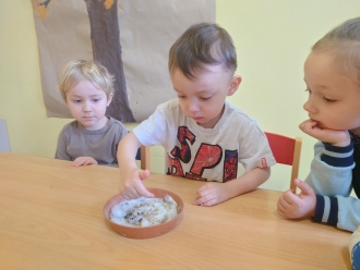 Setí hrachu, brokolice a jetele
