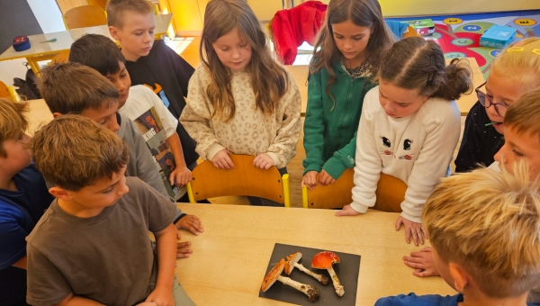 Projektové vyučování Muchomůrky